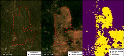 Detection of forest disturbance across California using deep-learning on PlanetScope imagery